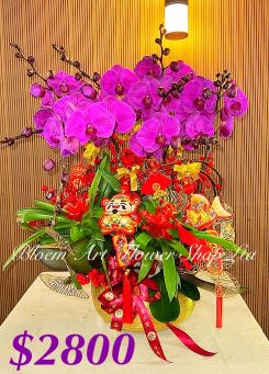 Table arrangement - Premium CODE 63800